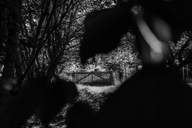 26 juin 2023 : journée des aidants et des aidés