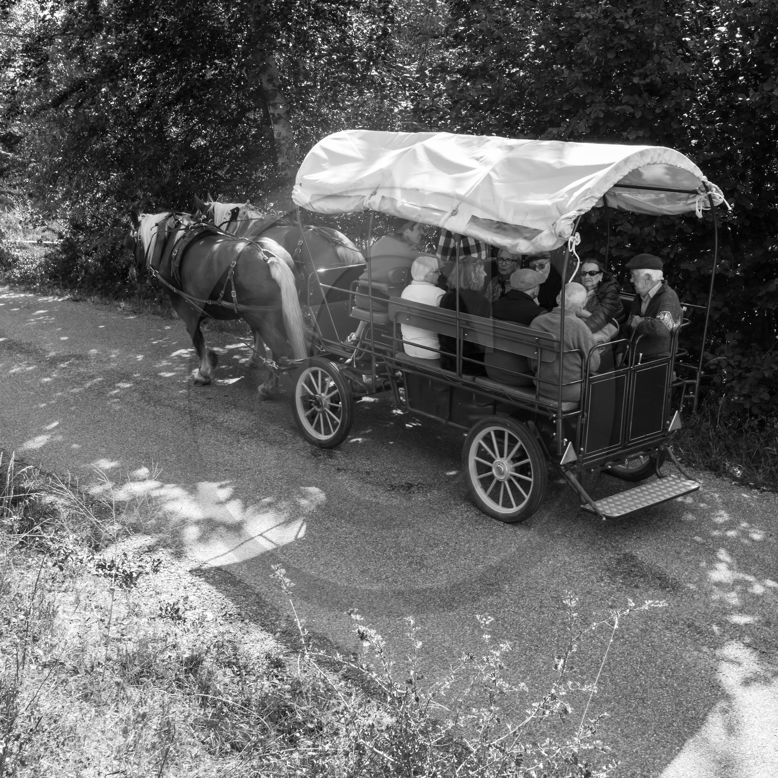 25 septembre 2019 : Promenade en calèche