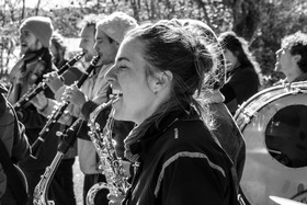 26 octobre 2025 : Les oiseaux de trottoir