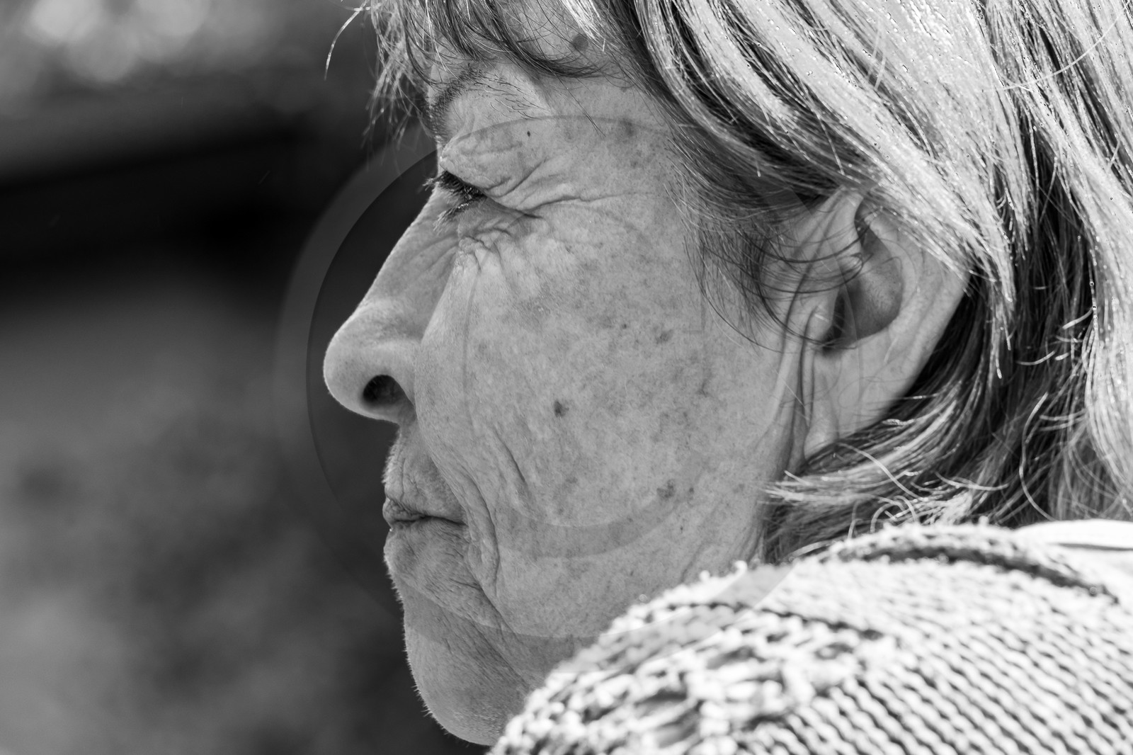 30 août 2023 : Lectures au jardin