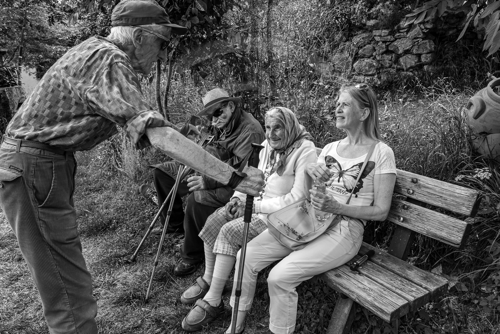 21 juin 2023 : Découverte botanique