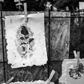 Présentation des réalisation de la saison à l'occasion de la semaine nationale des aidants - Avec la participation de Territoires Aidants