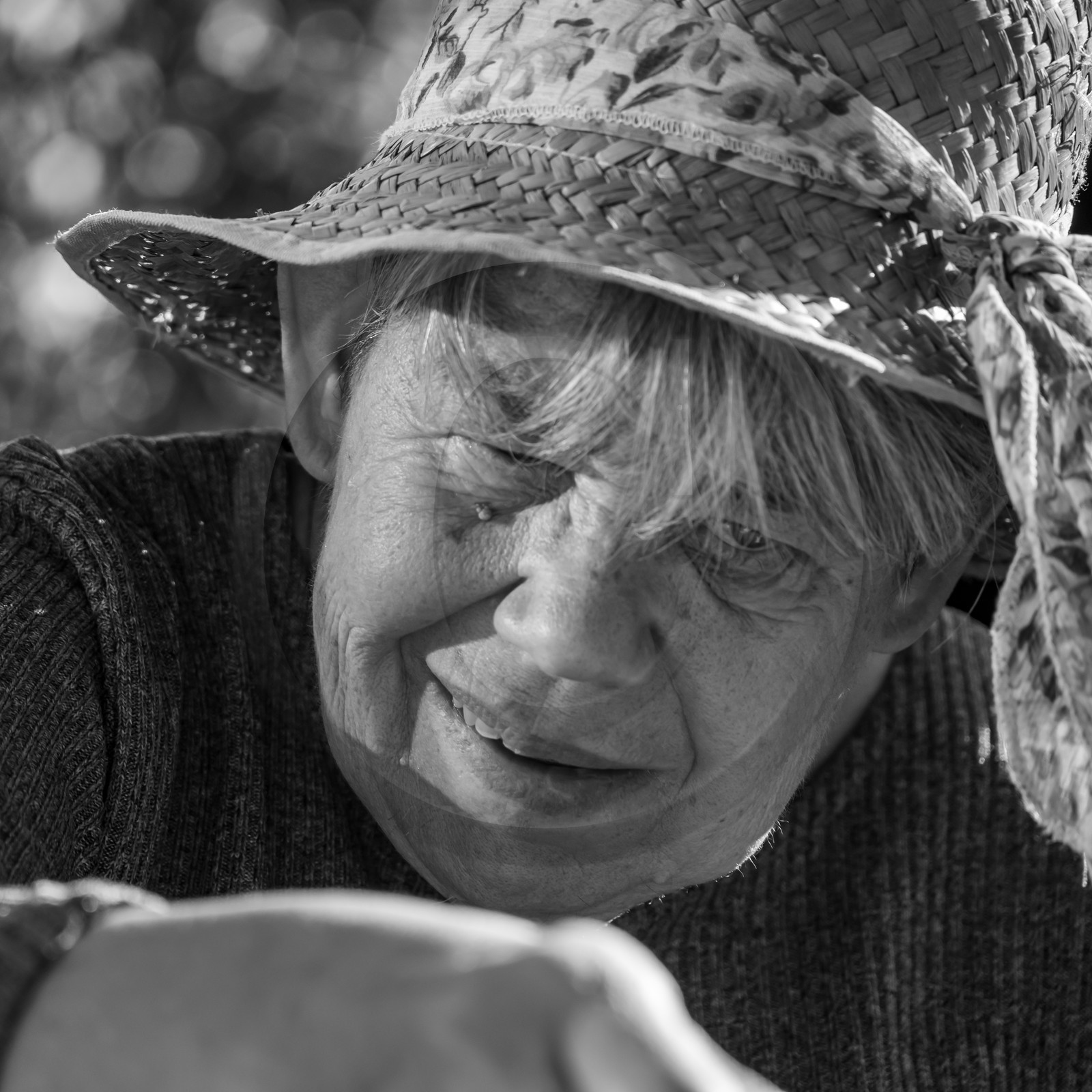 27 octobre 2021 : Un sentier et une réunion