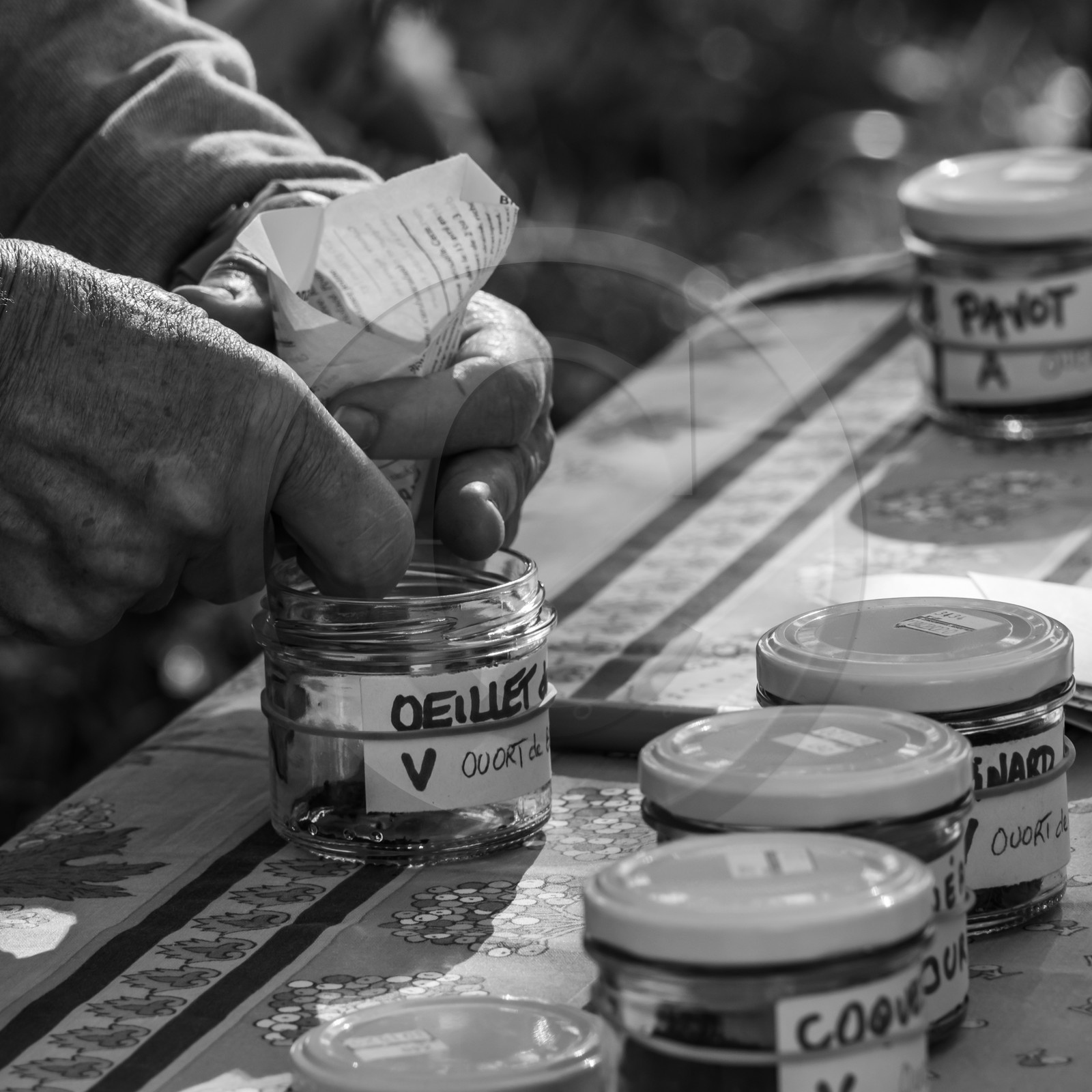 24 octobre 2021 : Fais ta soupe et ramène ta pomme