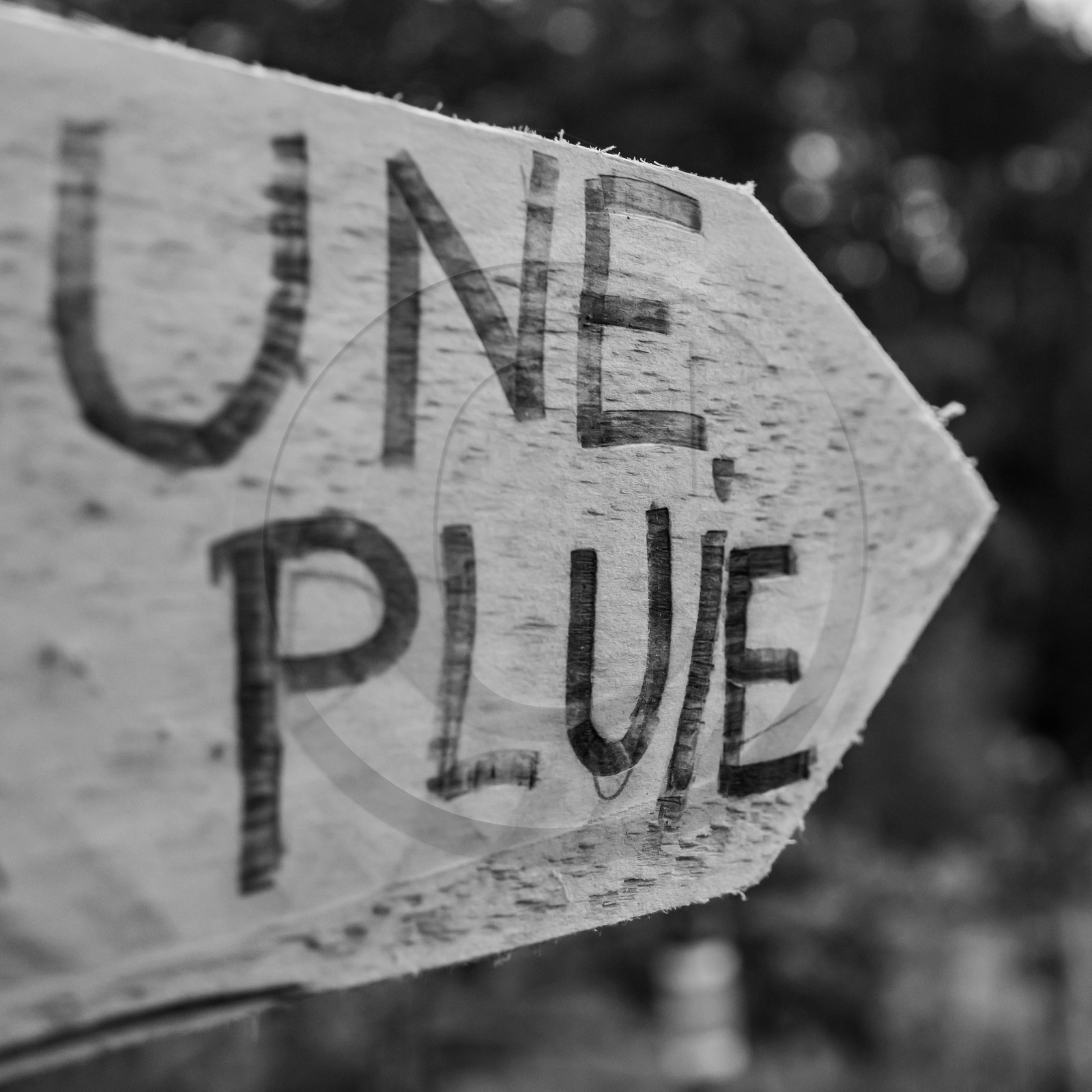 15 septembre 2021 : l'APF à l'Ouort