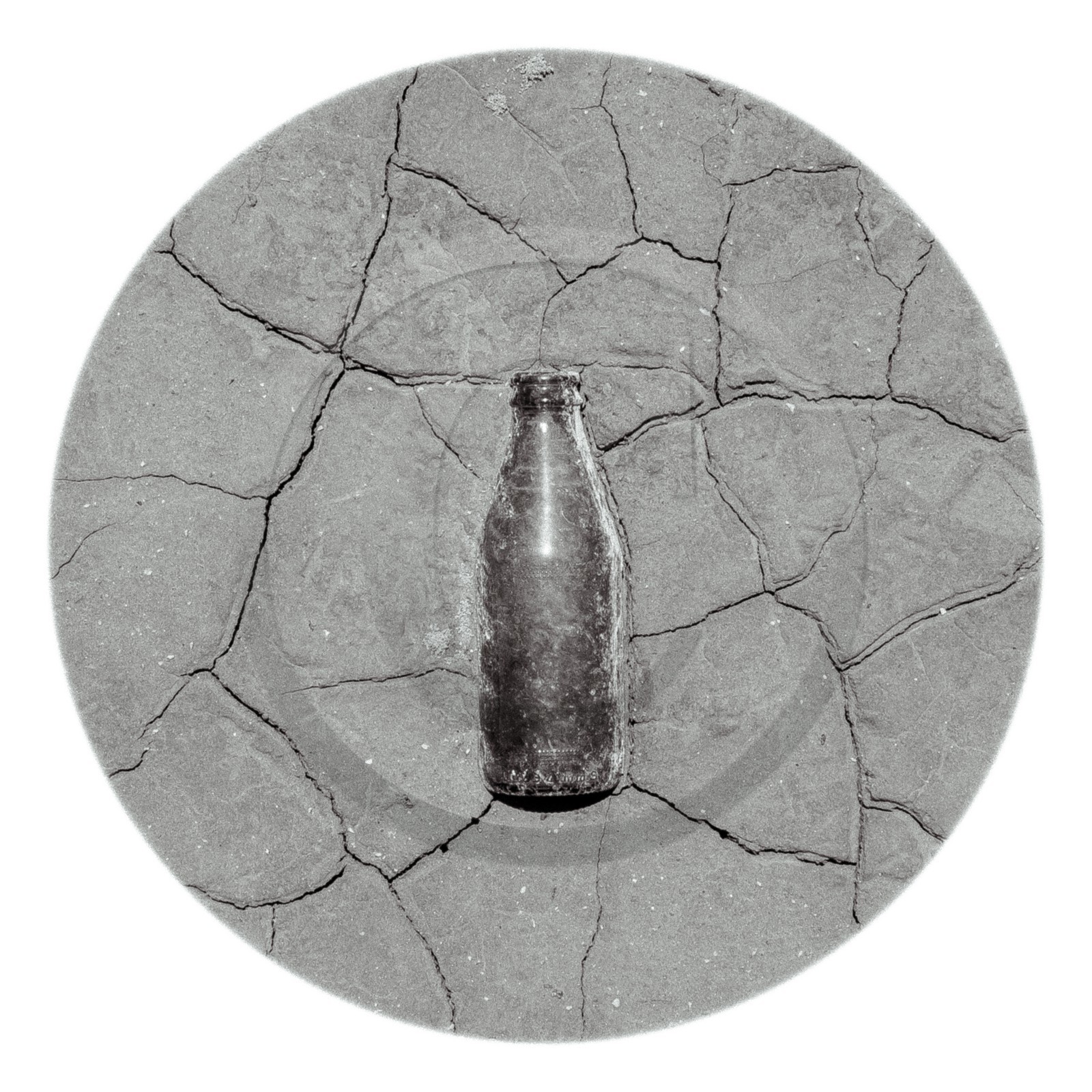 Les instants Camargue