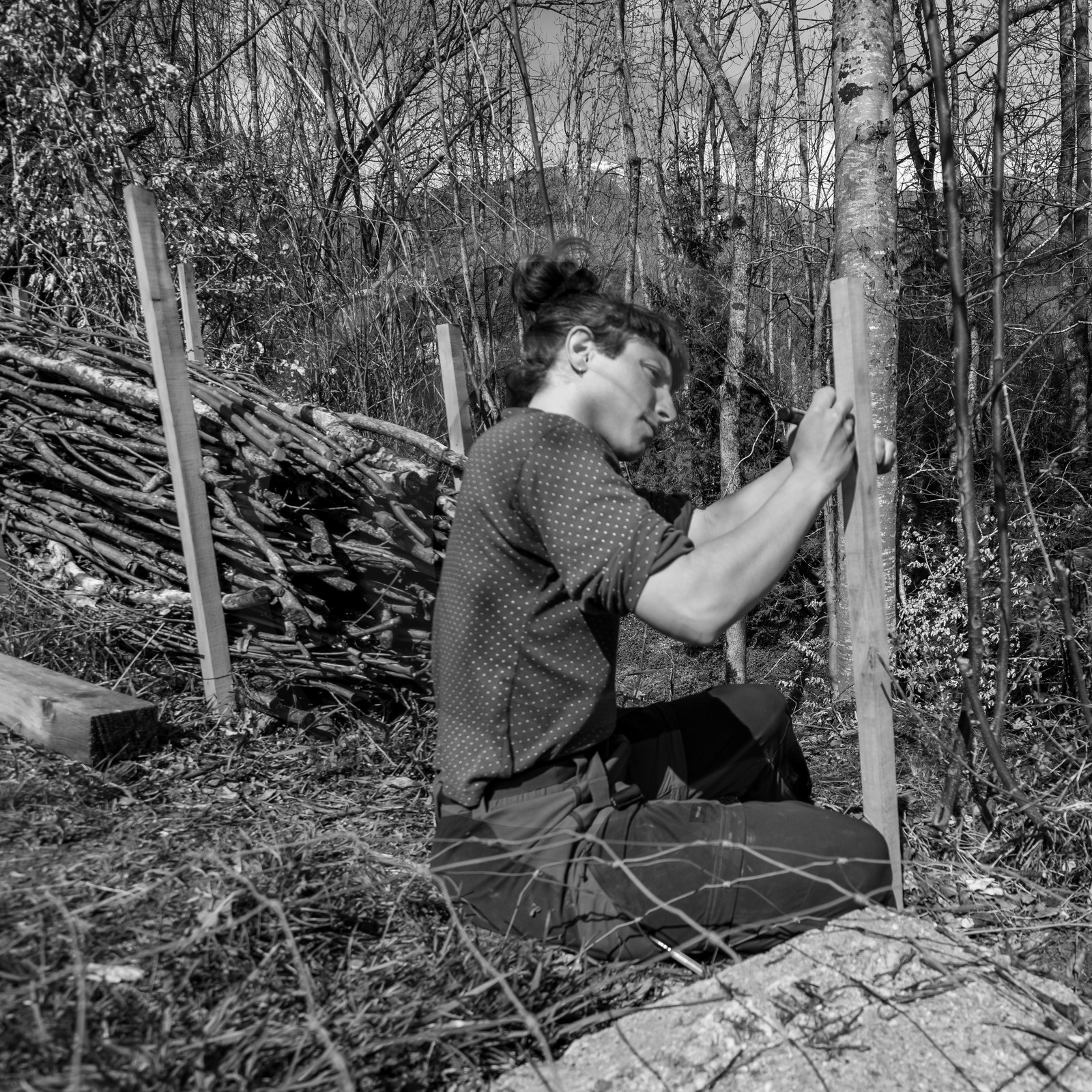 14 avril 2021 : collages, taille, jardinage