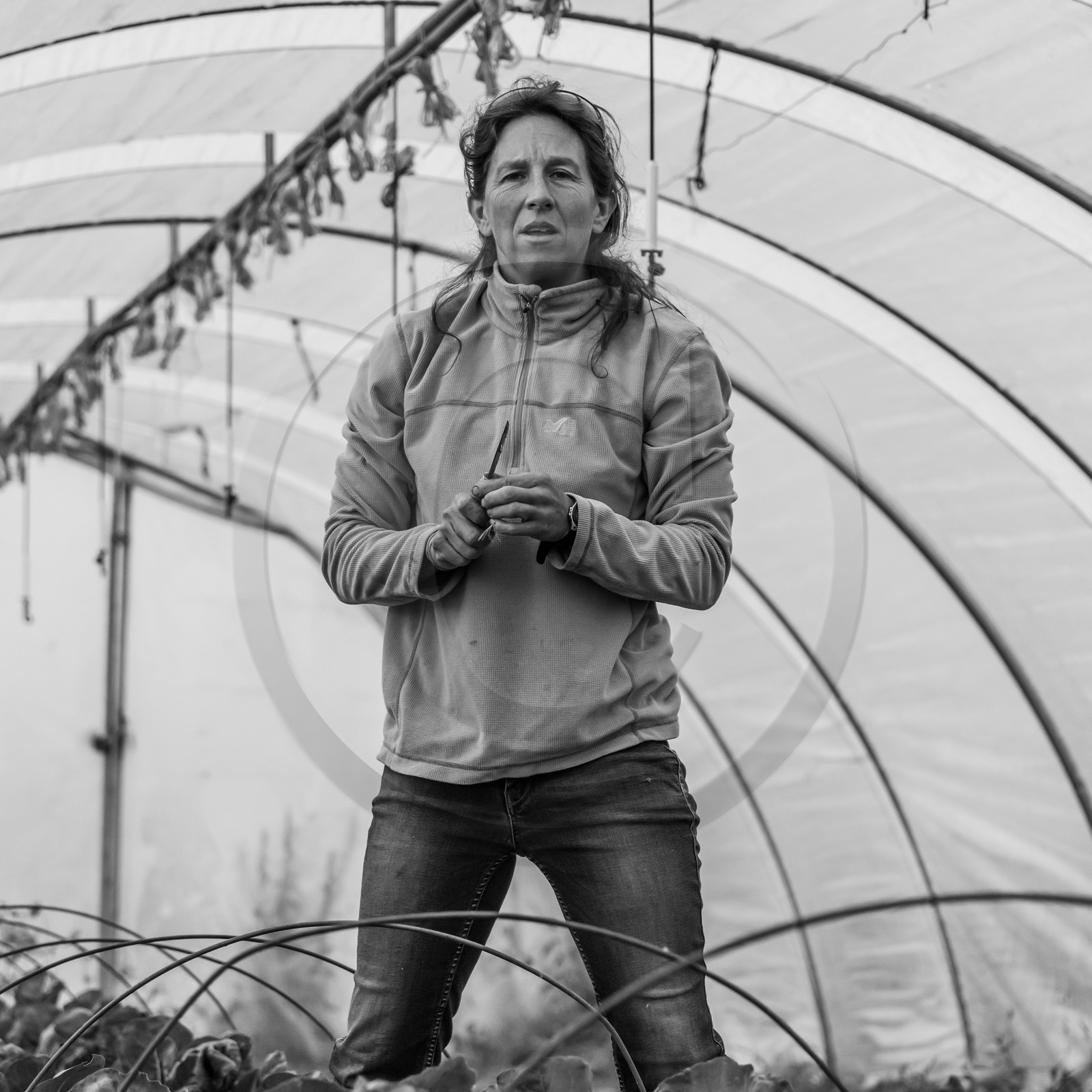 Maraichage biologique dans le Champsaur