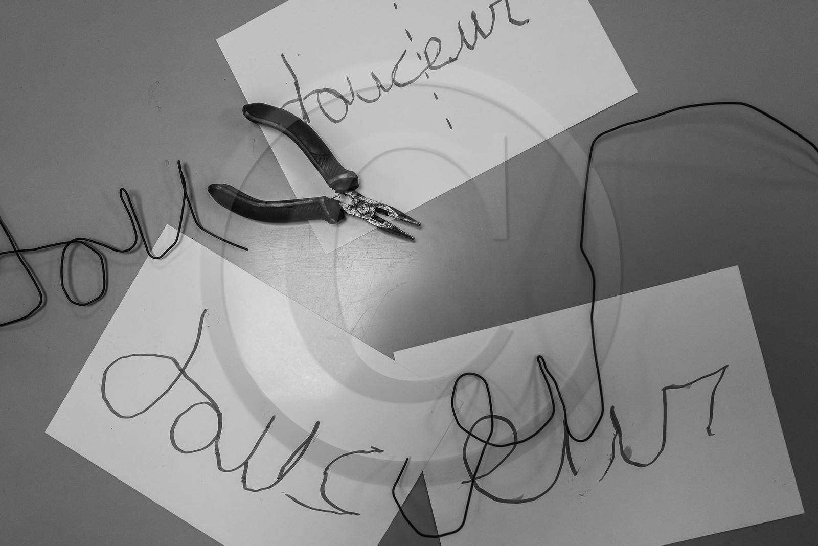 28 août 2023 : Journée des aidants