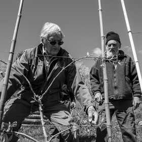 10 avril 2024 : Osier, laine et taille