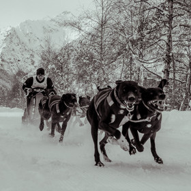 La Valgaude Traineau 2015