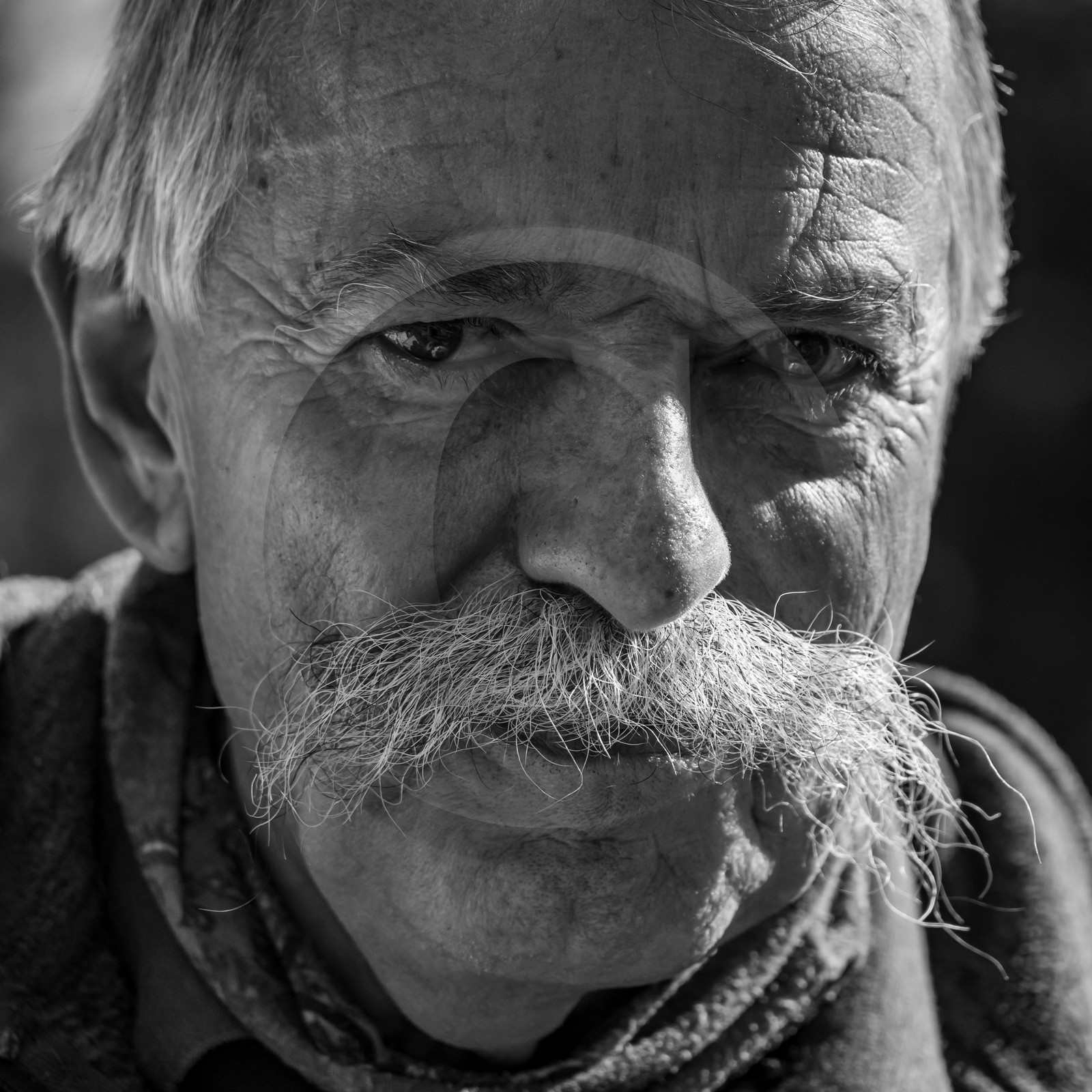 24 octobre 2021 : Fais ta soupe et ramène ta pomme