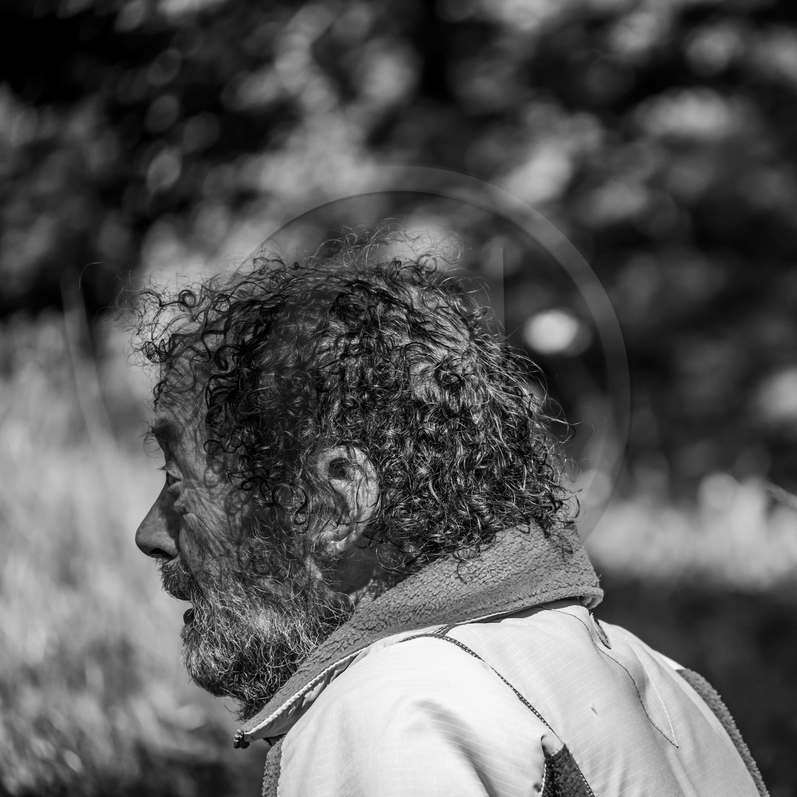 Arpenter le paysage avec Martin de la Soudière