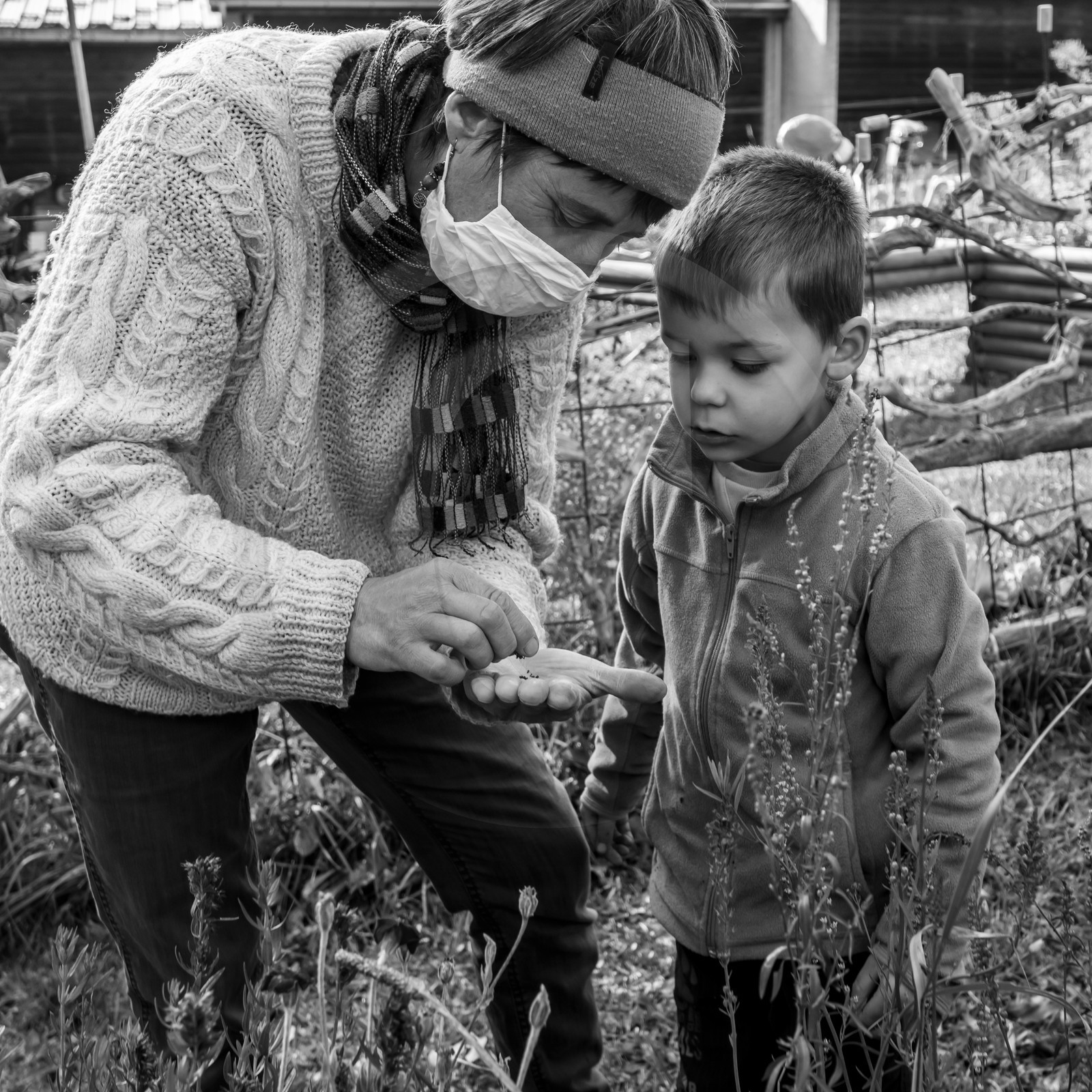 Semis, tournesols et jeux