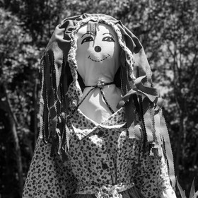 07 juin 2017 - Plantation - Haie - Réunion