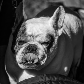 02 octobre 2024 : des contes avec Gilles Bougère et quelques autres conteurs