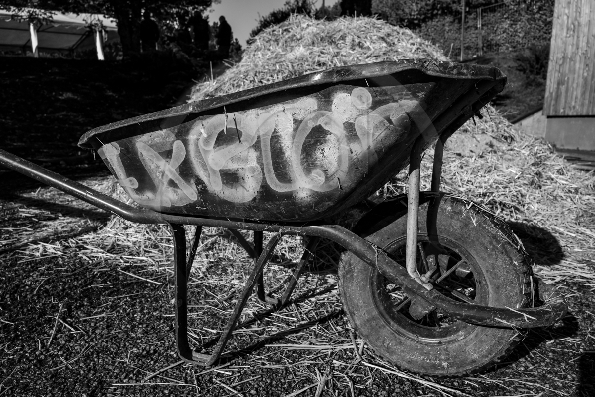 Rencontres paysannes à Saint-Bonnet en Champsaur