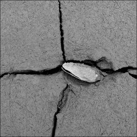 Serre-Ponçon, basses eaux