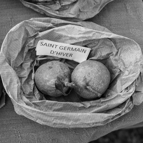 27 octobre 2019 : pommes, soupes et gâteaux