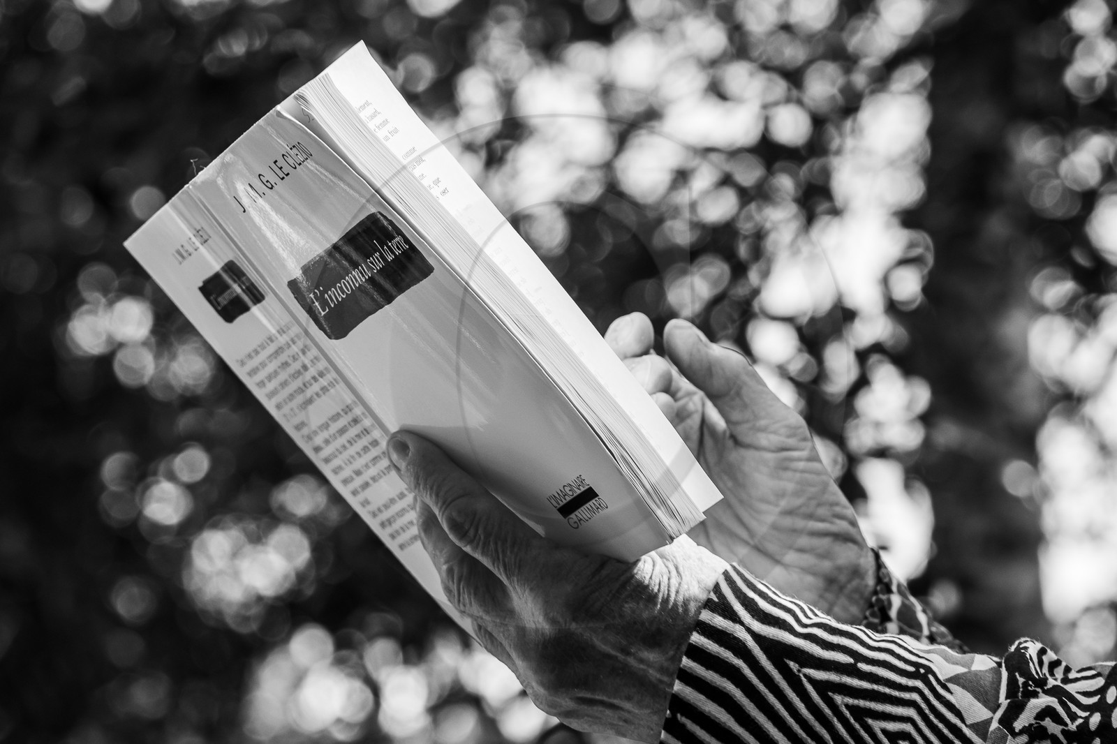 30 août 2023 : Lectures au jardin