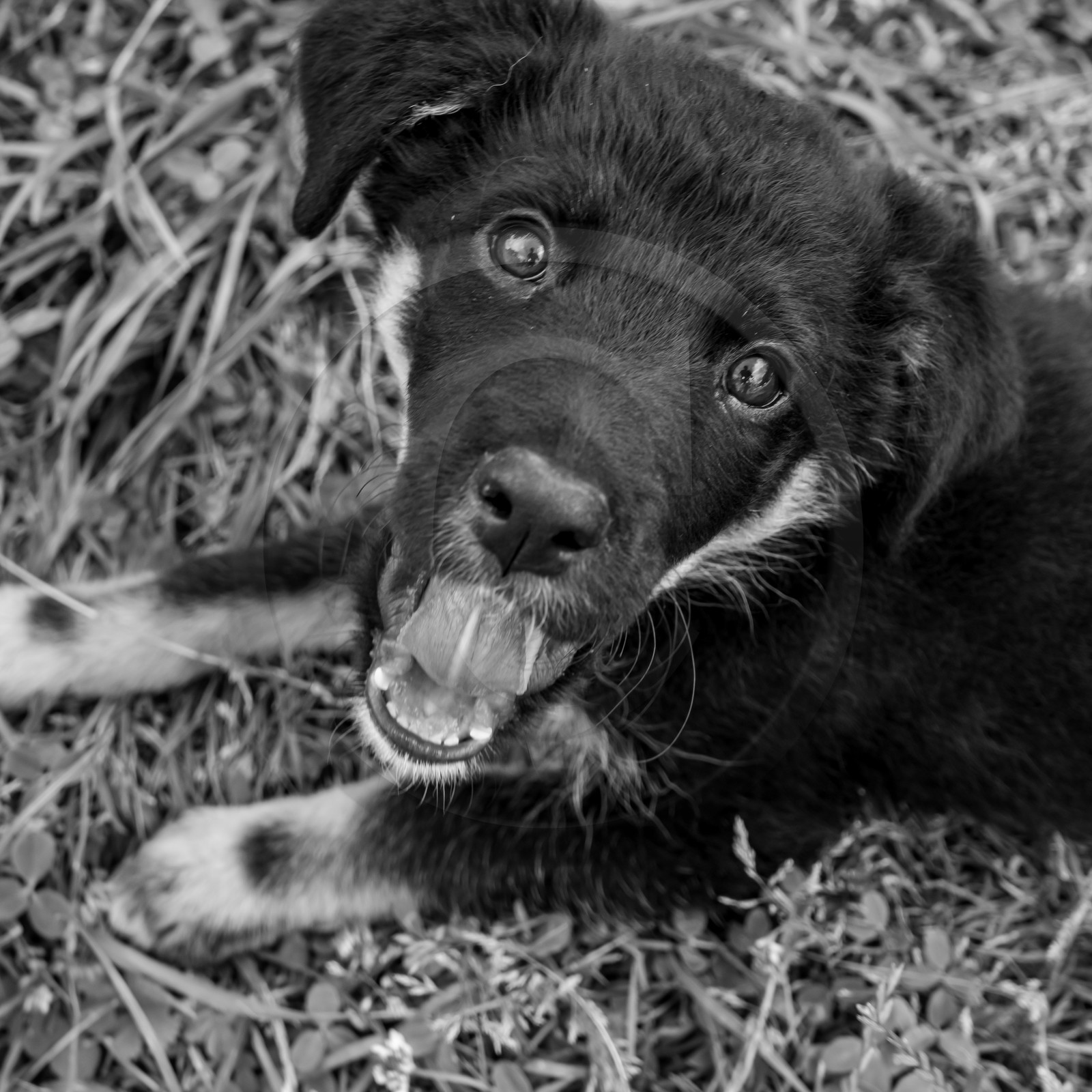 28 juin 2021 : Journée des aidants à l'Ouort.