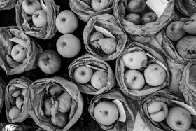 05 novembre 2022 : des pommes et des soupes