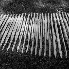 14 juin 2017 - Pose de la clôture