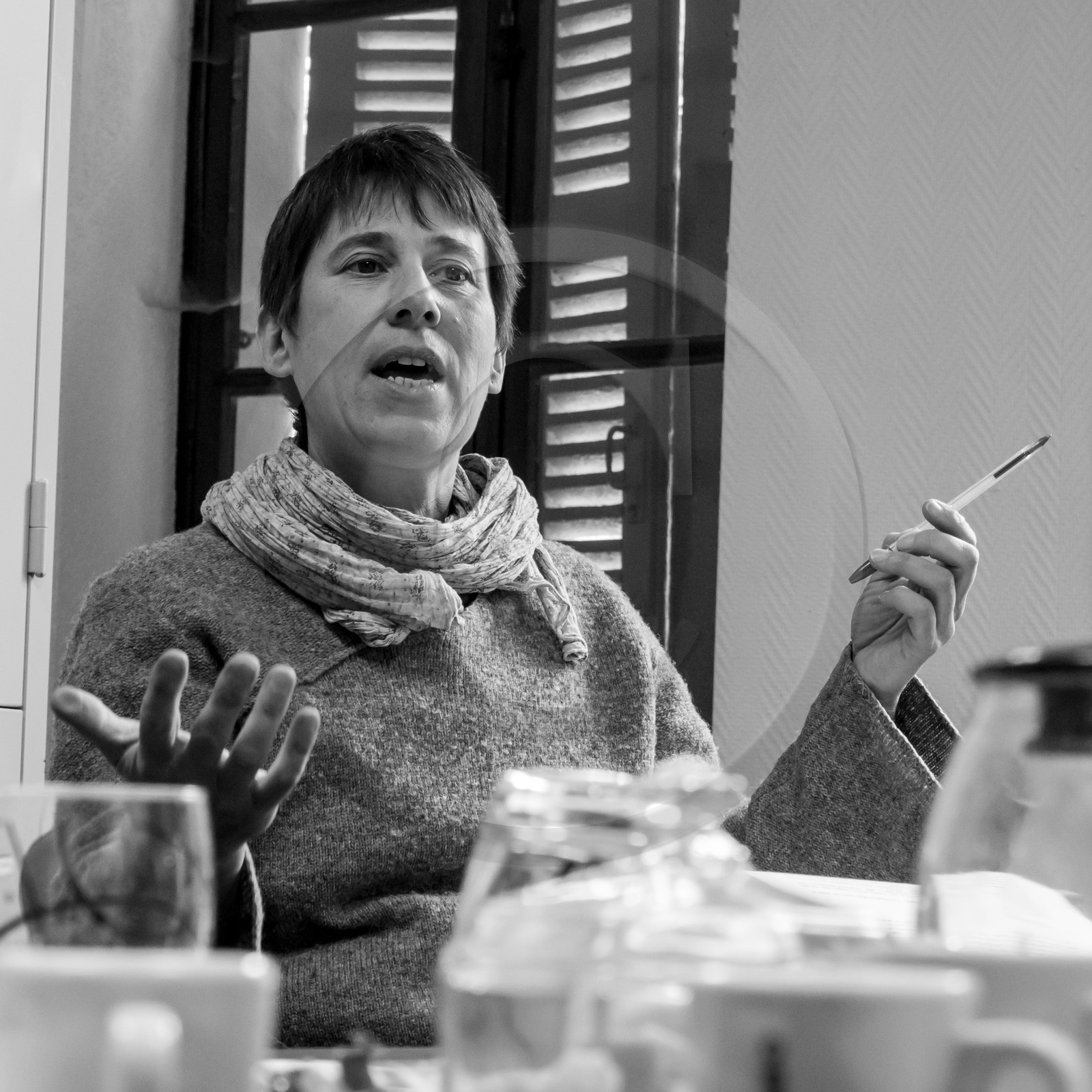 L'Ouort de Bénévent - 27 janvier 2017