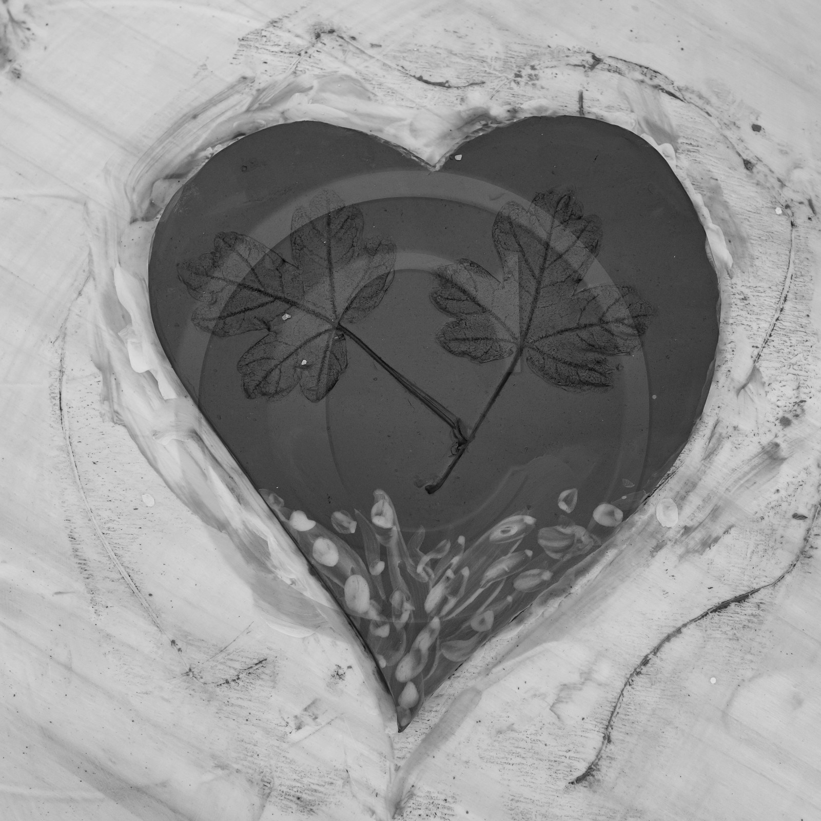 28 juin 2021 : Journée des aidants à l'Ouort.