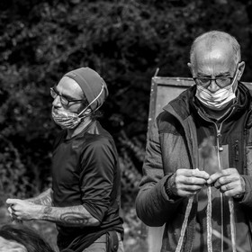 Fabrication de tournesols