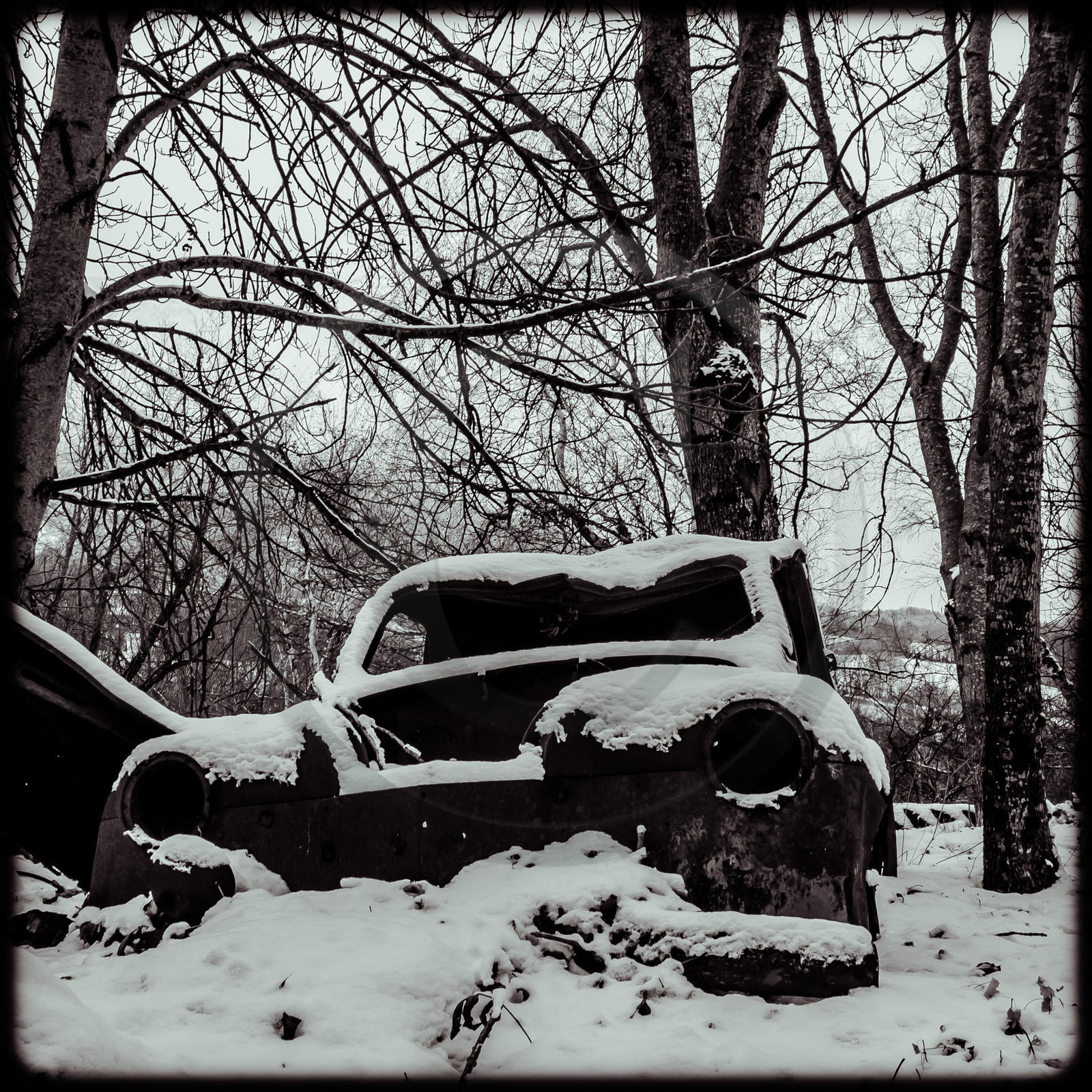 Un cimetière de voitures