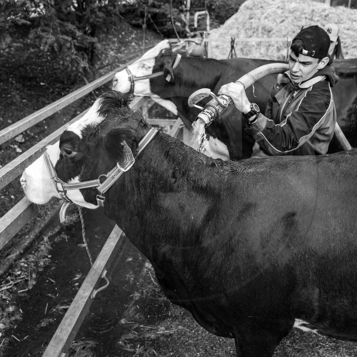 Rencontres paysannes à Saint-Bonnet en Champsaur