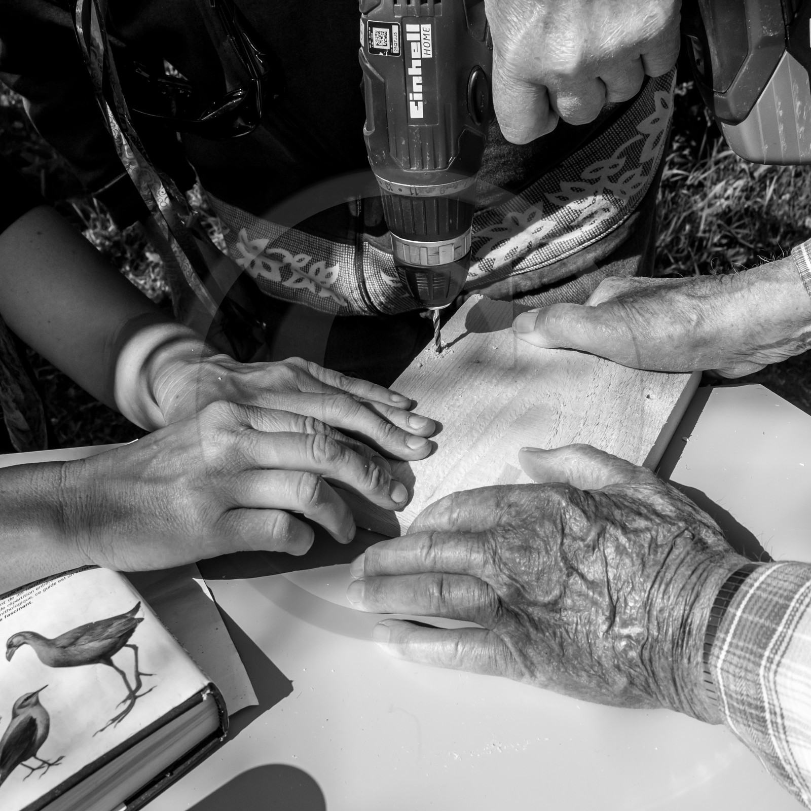 Fabrication de Nichoirs