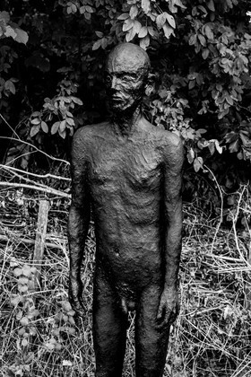 Exposition La forêt d'hommes, une création de Barbara Fougnon, artiste plasticienne