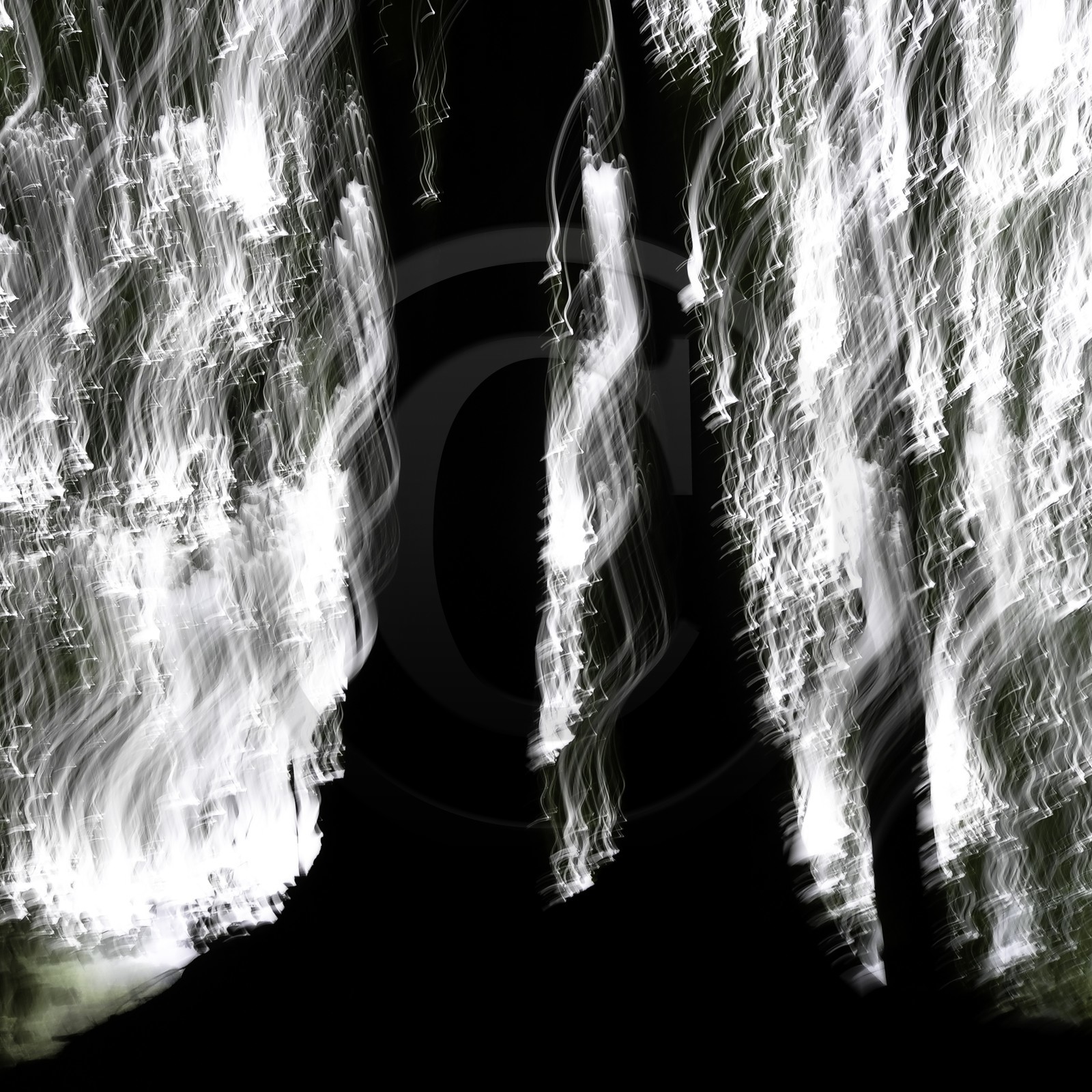 Le Pays des Arbres Flous