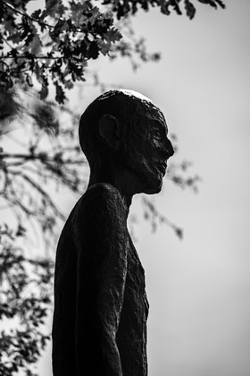 Exposition La forêt d'hommes, une création de Barbara Fougnon, artiste plasticienne