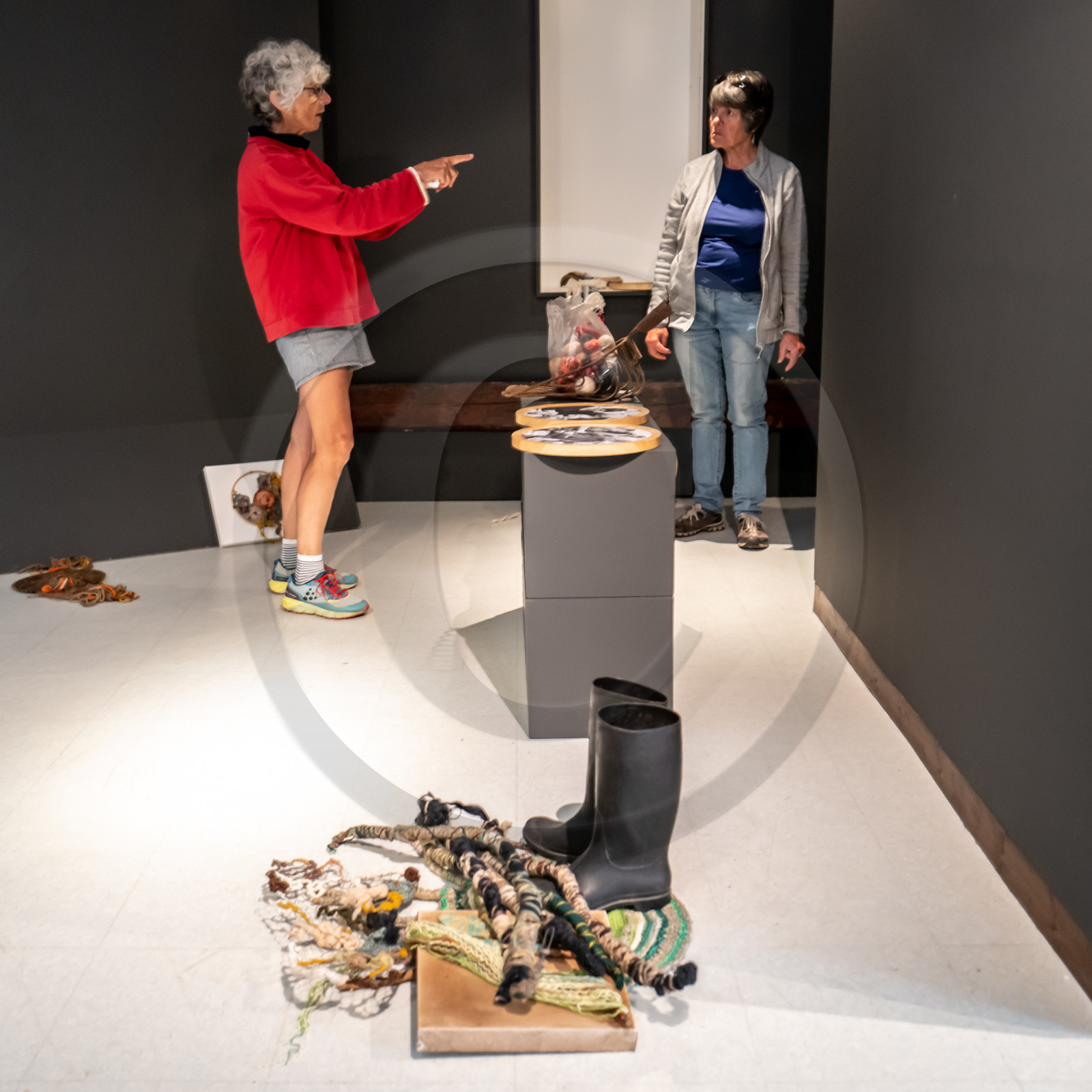 Exposition L comme laine, lien, lieu conçue par l'Ouort de Benevènt, sous la houlette de Claudine Meyer, artiste plasticienne, accompagnée de photographies de Denis Lebioda. Une proposition de la Communauté de Communes du Champsaur - Valgaudemar et de son service culturel.