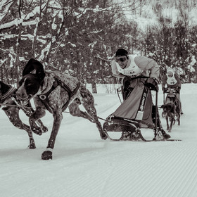 La Valgaude Traineau 2015