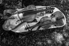 26 juin 2024 : Sieste Musicale avec Balthazar