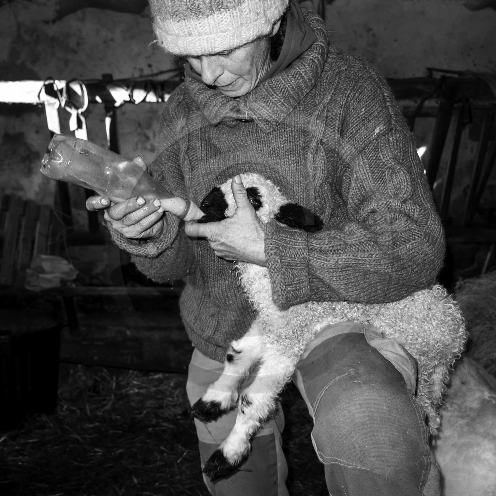 La bergerie de Michèle Soubeyrand