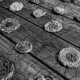 Activités au jardin