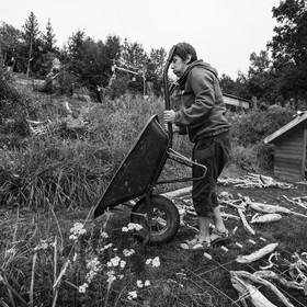 21 août 2019 : installation d'une oeuvre en bois flotté