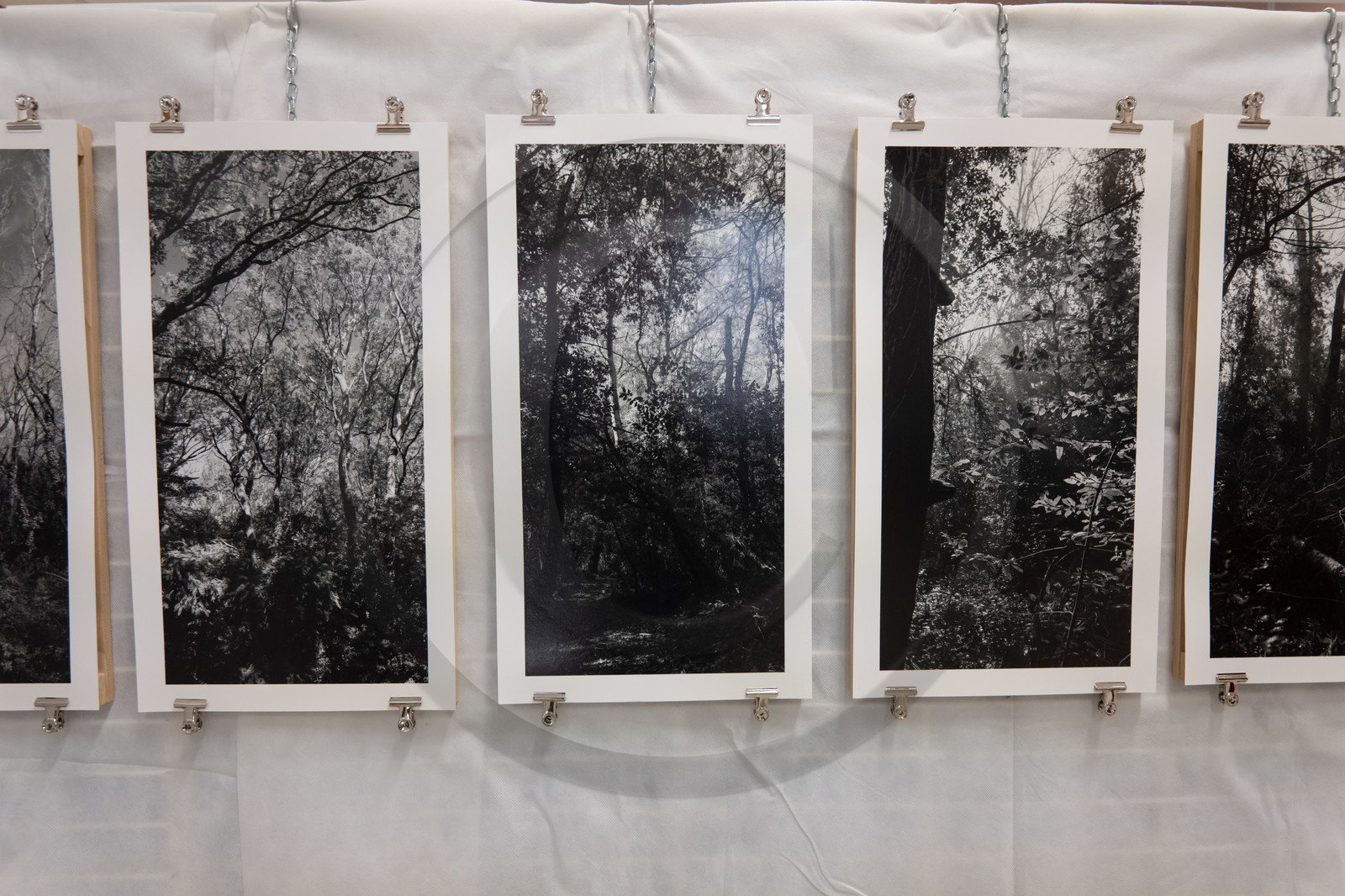 Automne photographique en Champsaur 2019 - Henri Bosco