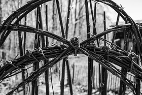 10 avril 2024 : Osier, laine et taille