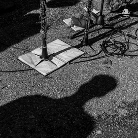 26 octobre 2025 : Les oiseaux de trottoir