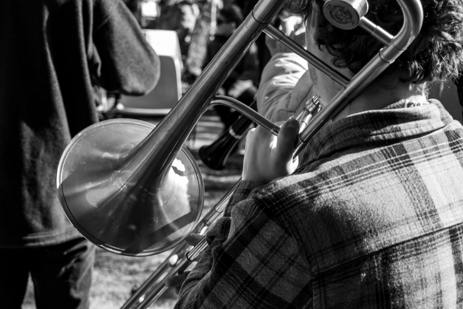 26 octobre 2025 : Les oiseaux de trottoir