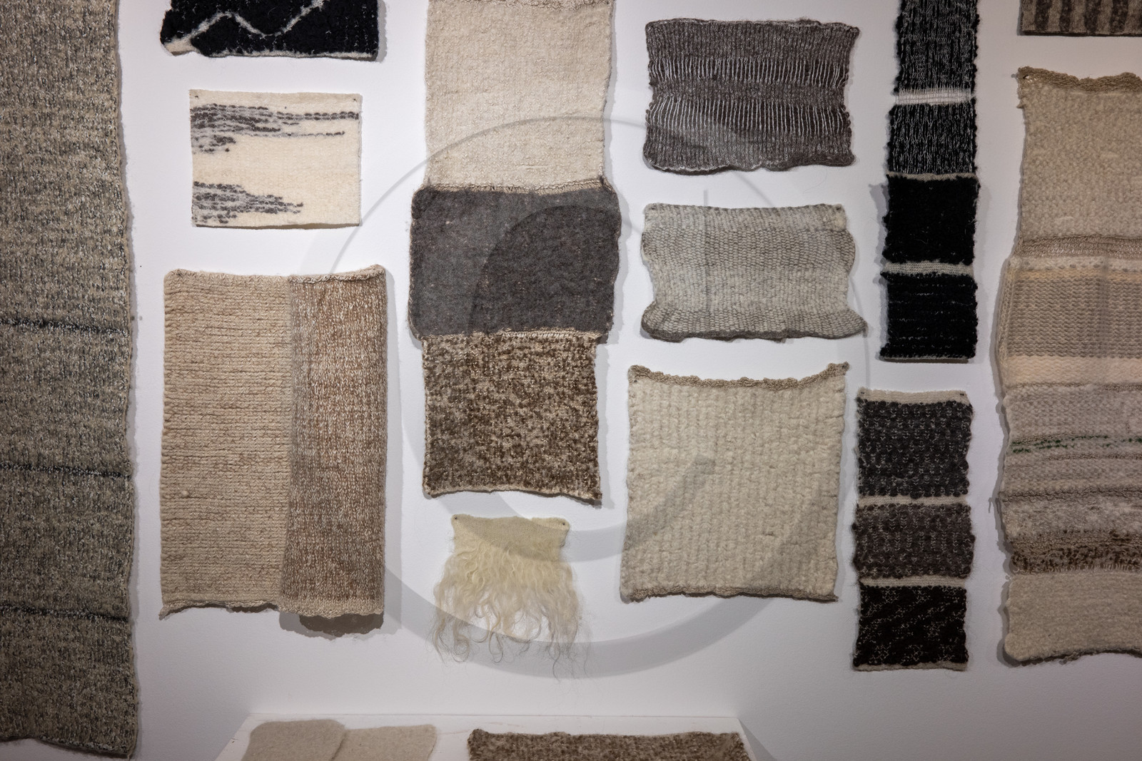 Expositions à la maison du Berger - Champoléon