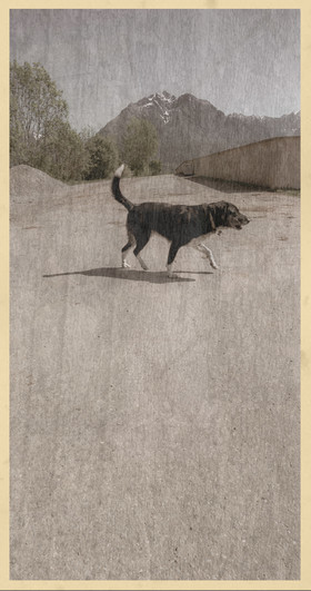 Le kilomètre dérogatoire