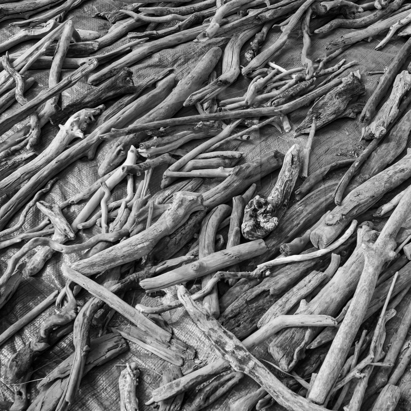 15 août 2019 : au festival l'Echo des Mots