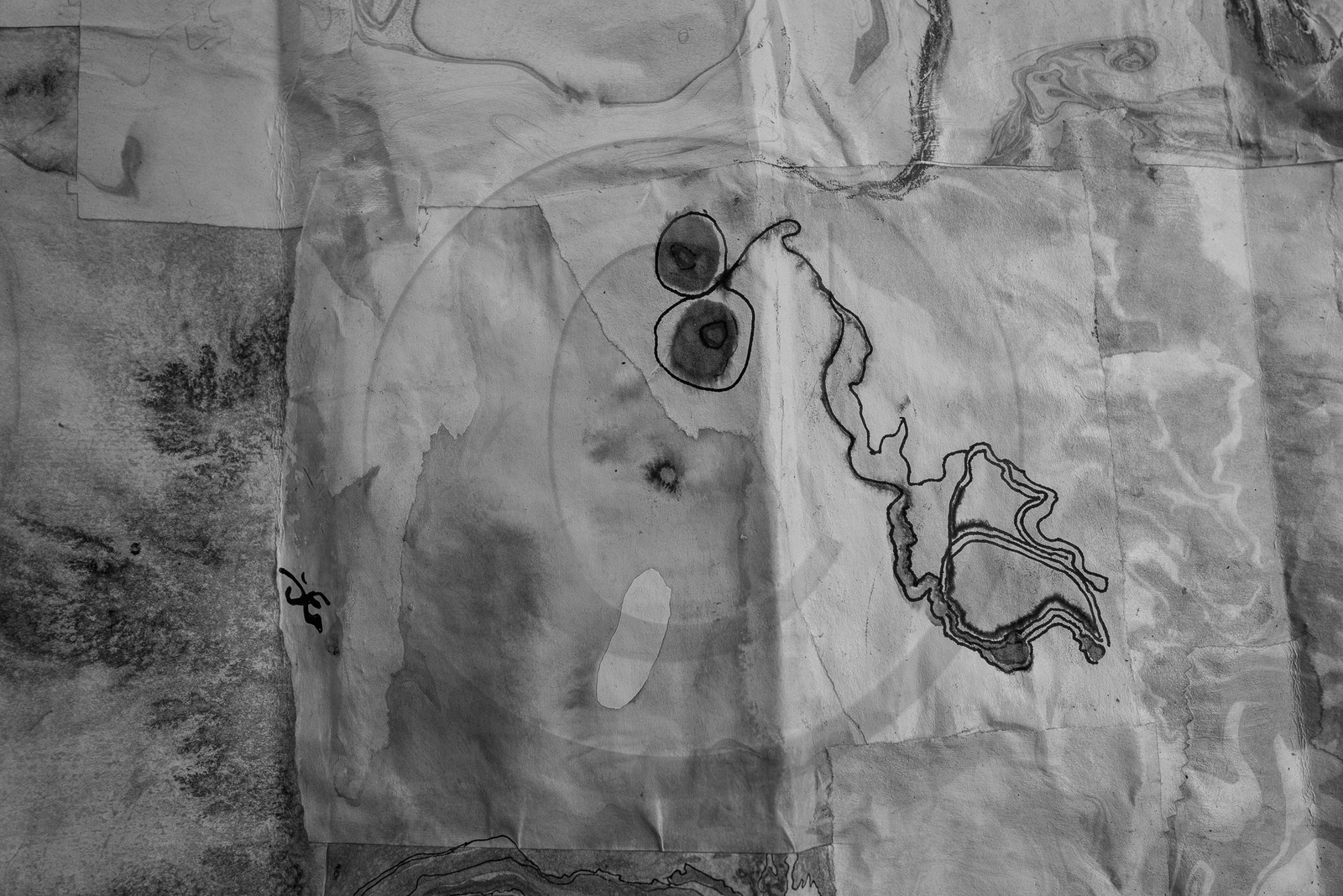 13 septembre 2023 : Osier et HydrOlique